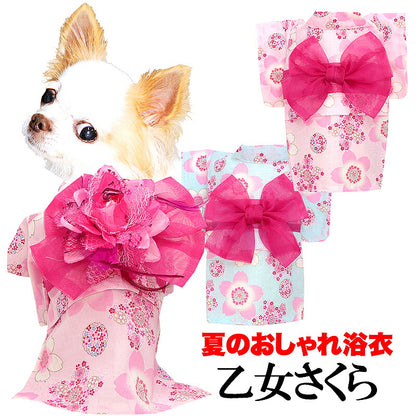 【犬服 犬 服 犬の服　春服 夏服用】乙女さくら浴衣 ゆかた 《名入れ可能》《コサージュ別売》【日本製 桜 夏 祭り 和服 花火大会 インスタ映え 七五三ドッグ ペット ウェア ダックス トイプードル チワワ タムベディ 綺麗  】