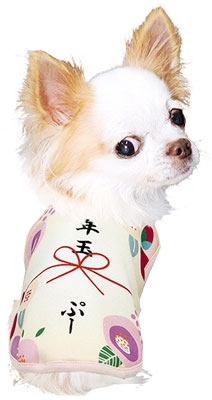【犬服 犬 服 秋冬 犬の服 ドッグウェア 名入れ】愛犬のお名前入りお年玉わんこ【お正月 めでたい チワワ ダックス トイプードル おもしろ パピヨン タムベディ】(S/3/N/H/)
