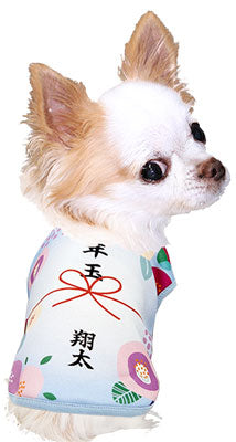 【犬服 犬 服 秋冬 犬の服 ドッグウェア 名入れ】愛犬のお名前入りお年玉わんこ【お正月 めでたい チワワ ダックス トイプードル おもしろ パピヨン タムベディ】(S/3/N/H/)