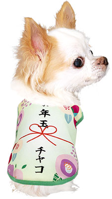 【犬服 犬 服 秋冬 犬の服 ドッグウェア 名入れ】愛犬のお名前入りお年玉わんこ【お正月 めでたい チワワ ダックス トイプードル おもしろ パピヨン タムベディ】(S/3/N/H/)