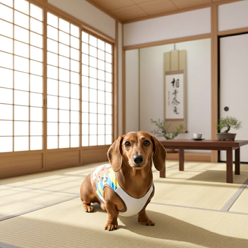 【犬服 犬 服 秋冬 犬の服 名入れ】愛犬のお名前入り おうまさんシャツ【干支 日本製 初詣 年賀状 チワワ ダックス トイプードル おもしろ ヨーキー】(S/3/RI/H/)