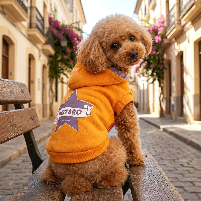 【犬服 犬 服 犬の服 名入れ 秋服 冬服用】愛犬のお名前入り パステルビッグスターパーカー【マジックテープ 着脱簡単 水玉 ドッグ ペット ウェア ダックス トイプードル チワワ タムベディかわいい】(O/F/RI/L/)