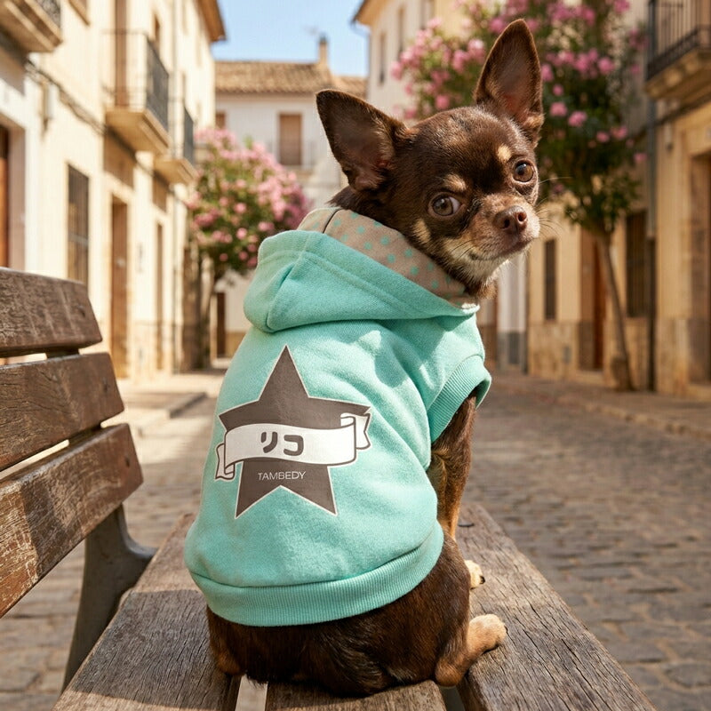 【犬服 犬 服 犬の服 名入れ 秋服 冬服用】愛犬のお名前入り パステルビッグスターパーカー【マジックテープ 着脱簡単 水玉 ドッグ ペット ウェア ダックス トイプードル チワワ タムベディかわいい】(O/F/RI/L/)