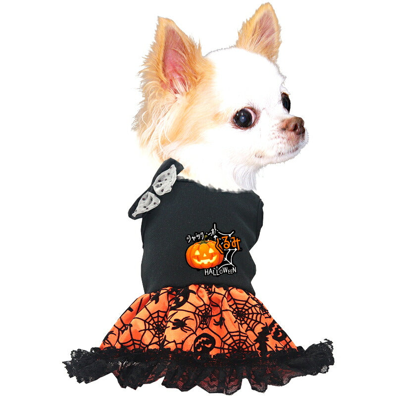 【犬服 犬 服 犬の服 秋服 冬服用】愛犬のお名前入り パンプキンゴスドレス【かぼちゃ リボン レース ゴールド ハロウィン 仮装 日本製 ドッグ ペット ウェア ダックス トイプードル チワワ タムベディおしゃれ マルチーズ 】