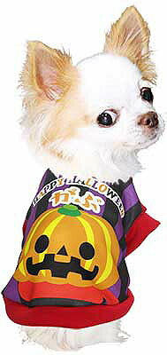 【犬服 犬 服 秋冬 犬の服 名入れ】愛犬のお名前入り パンプキンマン シャツ【ドッグウェア ハロウィン かぼちゃ チワワ ダックス トイプードル かわいい シーズー タムベディ】(S/3/RI/H/)
