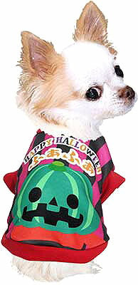 【犬服 犬 服 秋冬 犬の服 名入れ】愛犬のお名前入り パンプキンマン シャツ【ドッグウェア ハロウィン かぼちゃ チワワ ダックス トイプードル かわいい シーズー タムベディ】(S/3/RI/H/)