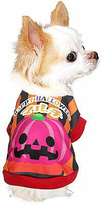 【犬服 犬 服 秋冬 犬の服 名入れ】愛犬のお名前入り パンプキンマン シャツ【ドッグウェア ハロウィン かぼちゃ チワワ ダックス トイプードル かわいい シーズー タムベディ】(S/3/RI/H/)