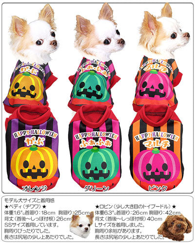 【犬服 犬 服 秋冬 犬の服 名入れ】愛犬のお名前入り パンプキンマン シャツ【ドッグウェア ハロウィン かぼちゃ チワワ ダックス トイプードル かわいい シーズー タムベディ】(S/3/RI/H/)