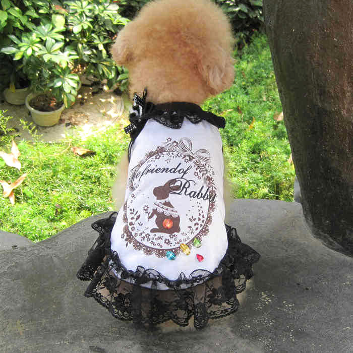 【犬 夏服 犬の服 春服用】ラビットレースワンピース【ドッグウェア ブラックレース モチーフ ブローチ うさぎ ペット ダックス トイプードル チワワ タムベディおしゃれ】[CN][GI]