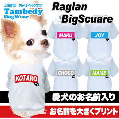 【犬服 犬 服 犬の服 名入れ 春服 夏秋服用】愛犬のお名前入り ラグランビッグスクエア【ネームプレート ドッグ ペット ウェア ダックス トイプードル チワワ タムベディ フレンチブル】(O/F/RA/L/)