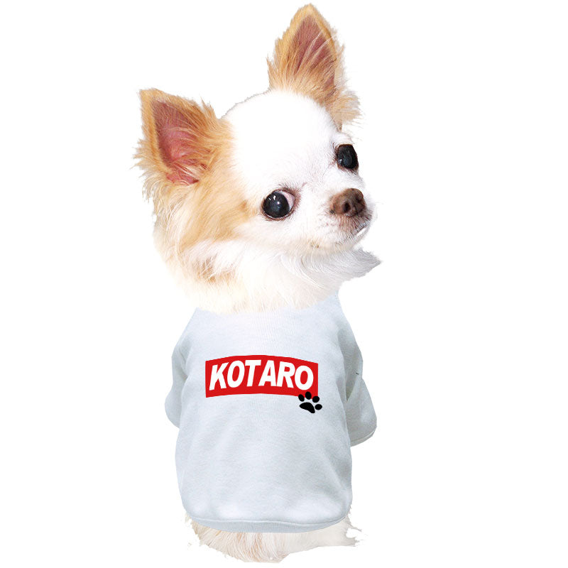 【犬服 犬 服 犬の服 名入れ 春服 夏秋服用】愛犬のお名前入り ラグランビッグスクエア【ネームプレート ドッグ ペット ウェア ダックス トイプードル チワワ タムベディ フレンチブル】(O/F/RA/L/)