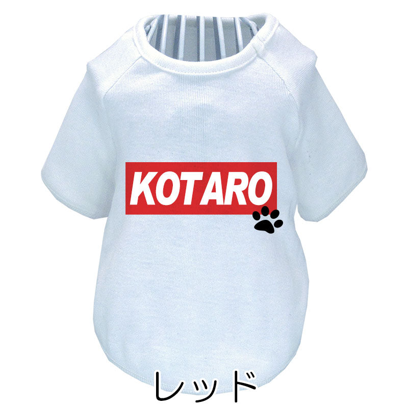 【犬服 犬 服 犬の服 名入れ 春服 夏秋服用】愛犬のお名前入り ラグランビッグスクエア【ネームプレート ドッグ ペット ウェア ダックス トイプードル チワワ タムベディ フレンチブル】(O/F/RA/L/)