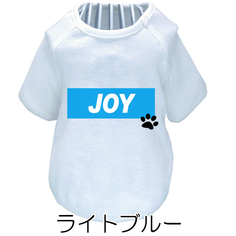 【犬服 犬 服 犬の服 名入れ 春服 夏秋服用】愛犬のお名前入り ラグランビッグスクエア【ネームプレート ドッグ ペット ウェア ダックス トイプードル チワワ タムベディ フレンチブル】(O/F/RA/L/)
