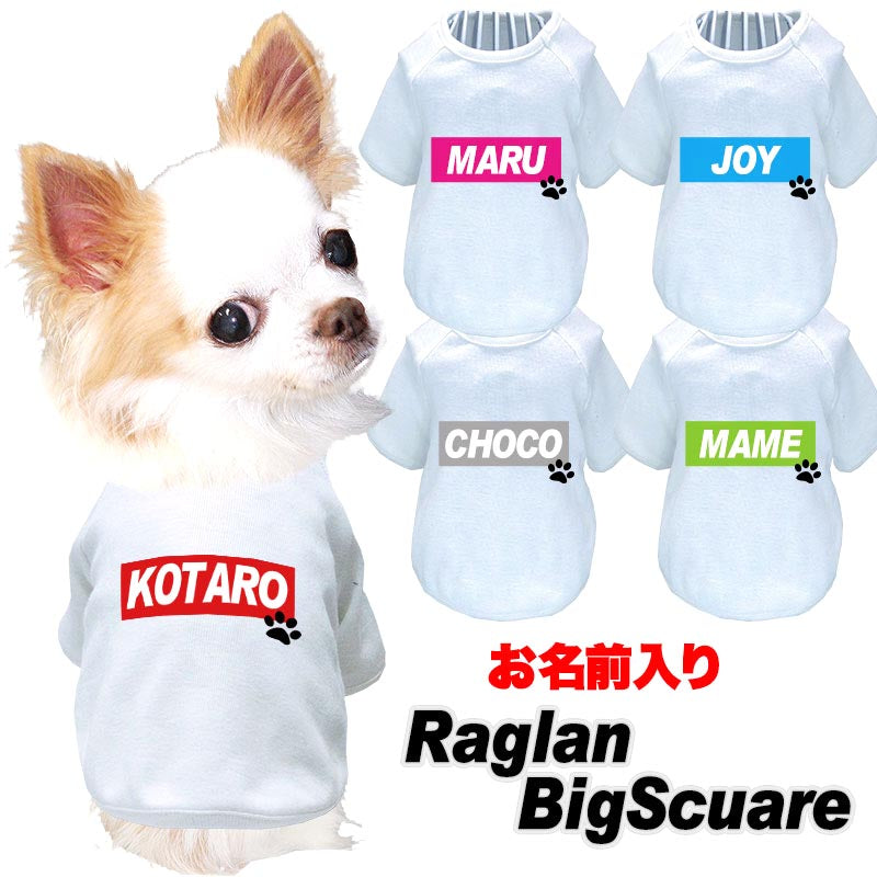 【犬服 犬 服 犬の服 名入れ 春服 夏秋服用】愛犬のお名前入り ラグランビッグスクエア【ネームプレート ドッグ ペット ウェア ダックス トイプードル チワワ タムベディ フレンチブル】(O/F/RA/L/)