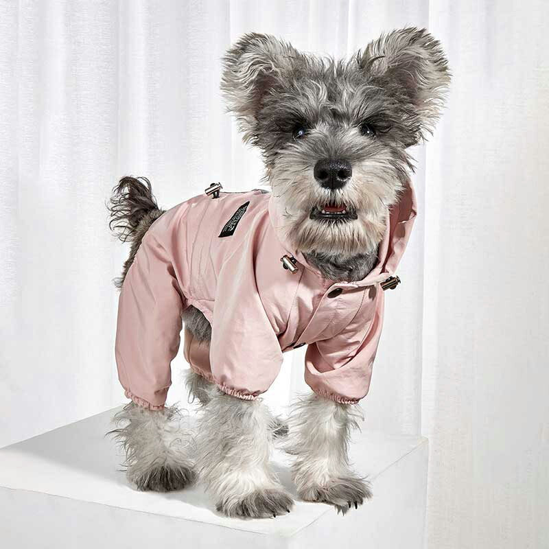 【犬服 犬 服 犬の服】レイニーデイレインコート【ドッグウェア 合羽 カッパ 雨具 梅雨 お散歩 チワワ ダックス トイプードル タムベディ キレイ系 シーズー】[CN]
