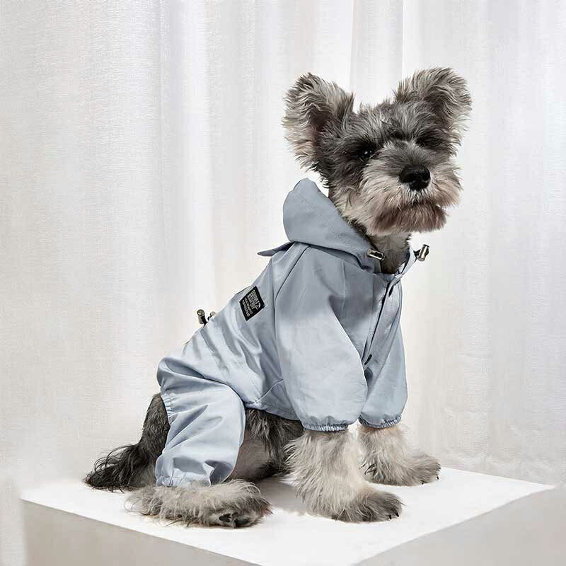 【犬服 犬 服 犬の服】レイニーデイレインコート【ドッグウェア 合羽 カッパ 雨具 梅雨 お散歩 チワワ ダックス トイプードル タムベディ キレイ系 シーズー】[CN]