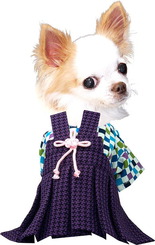 【犬 着物 犬の服】男振り袴(はかま)羅城《名入れ可能》【男の子 ドッグウェア ペット 正月 七五三 ダックス トイプードル チワワ タムベディ かっこいい パグ 着せやすい】