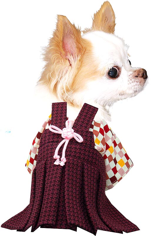 【犬 着物 犬の服】男振り袴(はかま)羅城《名入れ可能》【男の子 ドッグウェア ペット 正月 七五三 ダックス トイプードル チワワ タムベディ かっこいい パグ 着せやすい】