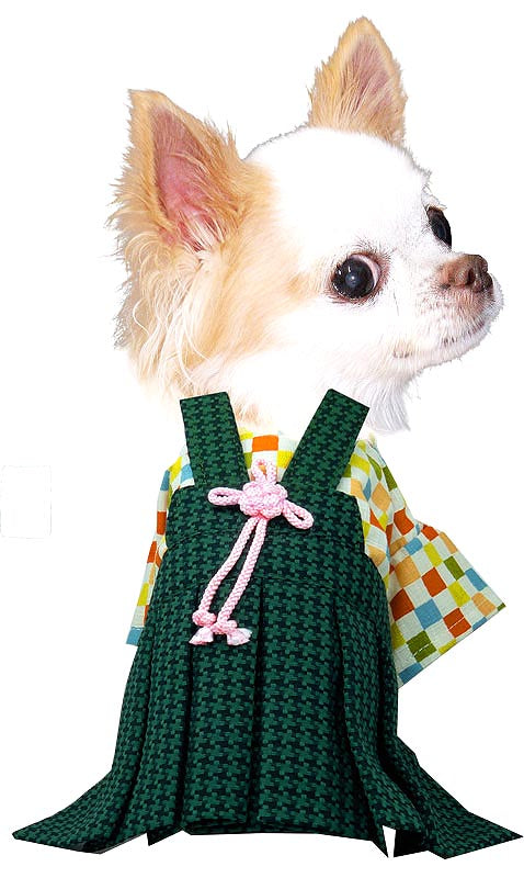 【犬 着物 犬の服】男振り袴(はかま)羅城《名入れ可能》【男の子 ドッグウェア ペット 正月 七五三 ダックス トイプードル チワワ タムベディ かっこいい パグ 着せやすい】