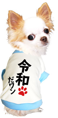 【犬服 犬 服 秋服 冬服用 犬の服】令和だ！ワン！シャツ (3D)【ドッグウェア ペット 元号 チワワ ダックス トイプードル かっこいい マルチーズ タムベディ】