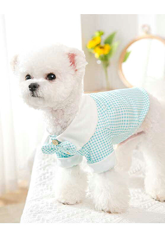 【犬 夏服 犬の服 春服用】《名入れ可能》リボンタイシャツ【ドッグウェア ペット アウトレット ダックス トイプードル チワワ タムベディ さわやか シーズー】[CN][GI]