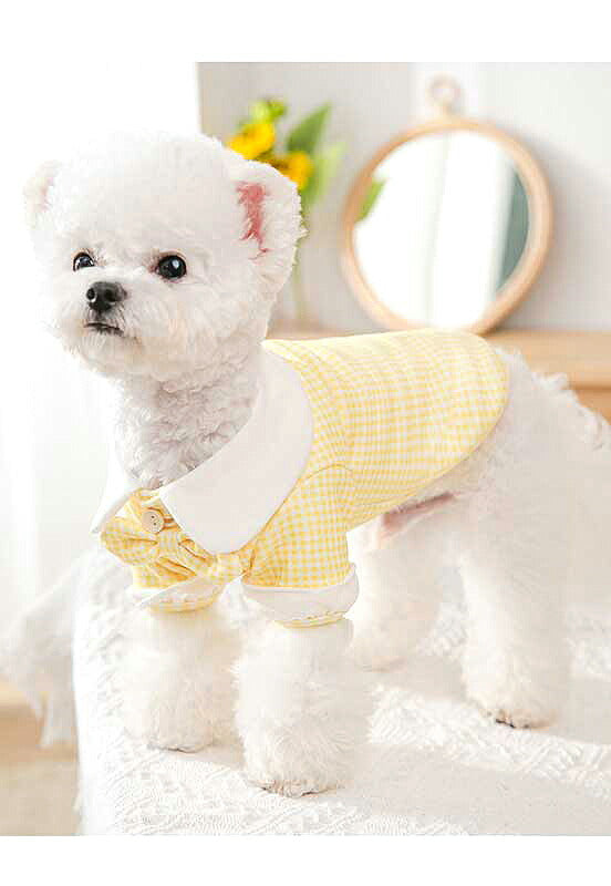 【犬 夏服 犬の服 春服用】《名入れ可能》リボンタイシャツ【ドッグウェア ペット アウトレット ダックス トイプードル チワワ タムベディ さわやか シーズー】[CN][GI]