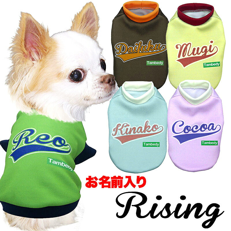 【犬服 犬 服 犬の服 名入れ 春秋服 冬服用】愛犬のお名前入り ライジング【おしゃれ スポーティ ユニセックスドッグ ペット ウェア ダックス トイプードル チワワ タムベディかっこいい ヨークシャー】(S/3/RI/H/)