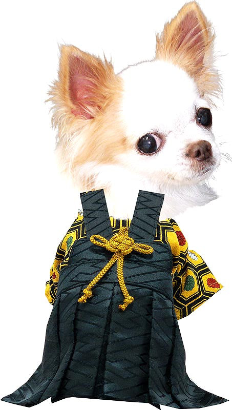 【犬 着物 犬の服】男振り袴(はかま)三光《名入れ可能》【男の子 ドッグウェア ペット 正月 七五三 ダックス トイプードル チワワ タムベディ かっこいい パグ 着せやすい】
