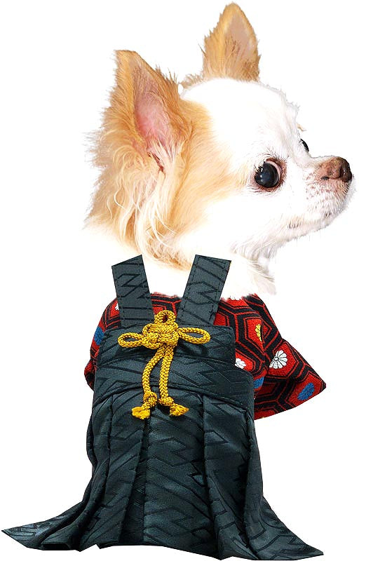【犬 着物 犬の服】男振り袴(はかま)三光《名入れ可能》【男の子 ドッグウェア ペット 正月 七五三 ダックス トイプードル チワワ タムベディ かっこいい パグ 着せやすい】