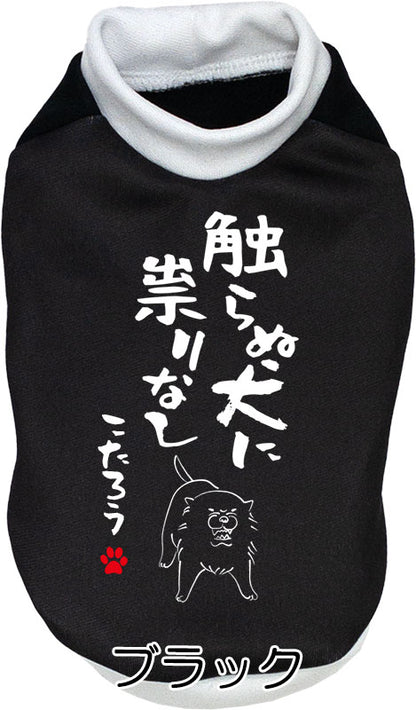 【犬服 犬 服 犬の服 名入れ 秋服 冬服用】愛犬のお名前入り 触らぬ犬に祟りなし【ドッグウェア ことわざ ダックス トイプードル チワワ タムベディおもしろい】(S/3/RI/H/)