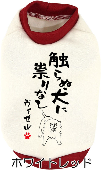 【犬服 犬 服 犬の服 名入れ 秋服 冬服用】愛犬のお名前入り 触らぬ犬に祟りなし【ドッグウェア ことわざ ダックス トイプードル チワワ タムベディおもしろい】(S/3/RI/H/)