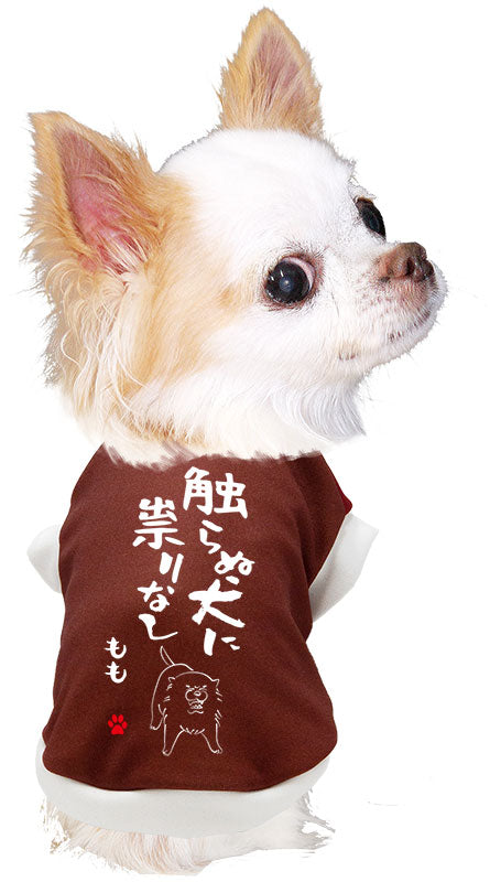 【犬服 犬 服 犬の服 名入れ 秋服 冬服用】愛犬のお名前入り 触らぬ犬に祟りなし【ドッグウェア ことわざ ダックス トイプードル チワワ タムベディおもしろい】(S/3/RI/H/)