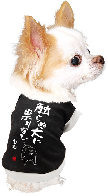 【犬服 犬 服 犬の服 名入れ 秋服 冬服用】愛犬のお名前入り 触らぬ犬に祟りなし【ドッグウェア ことわざ ダックス トイプードル チワワ タムベディおもしろい】(S/3/RI/H/)