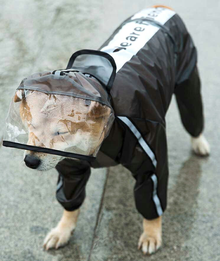 【犬服 犬 服 犬の服】シースルーレインコート【ドッグウェア 合羽 カッパ 雨具 梅雨 お散歩 チワワ ダックス トイプードル タムベディ おしゃれ】色移りがある場合がございます[CN][GI]