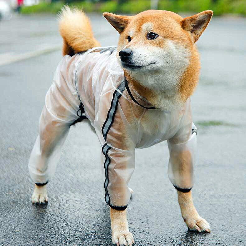 【犬服 犬 服 犬の服】シースルーレインコート【ドッグウェア 合羽 カッパ 雨具 梅雨 お散歩 チワワ ダックス トイプードル タムベディ おしゃれ】色移りがある場合がございます[CN][GI]