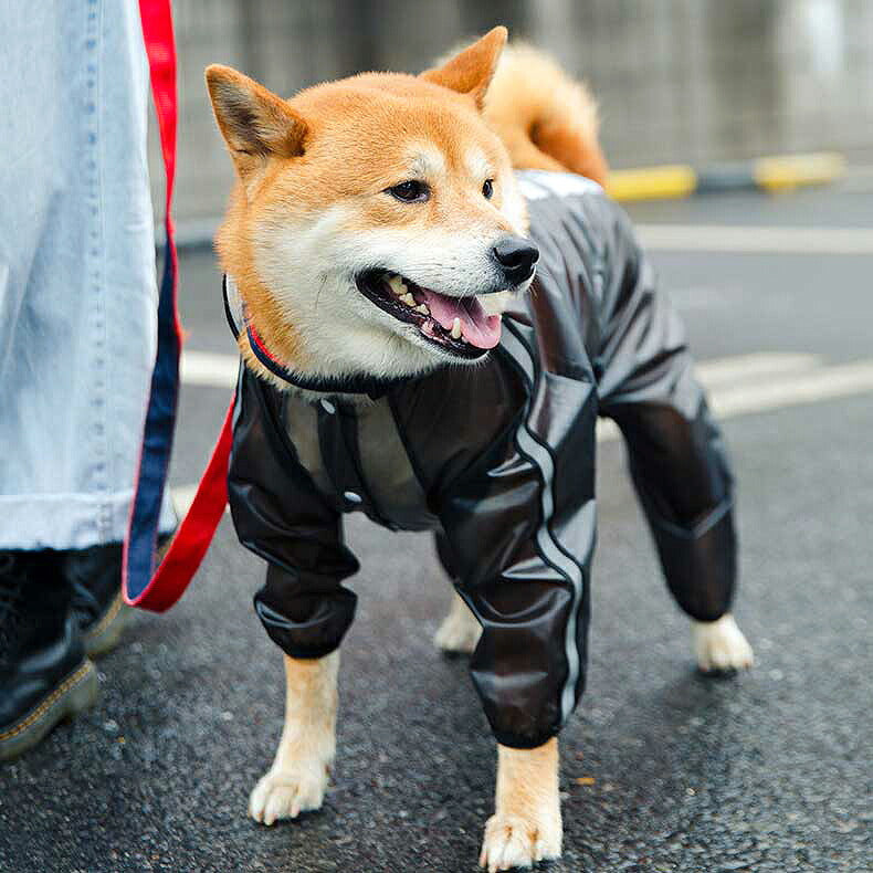 【犬服 犬 服 犬の服】シースルーレインコート【ドッグウェア 合羽 カッパ 雨具 梅雨 お散歩 チワワ ダックス トイプードル タムベディ おしゃれ】色移りがある場合がございます[CN][GI]