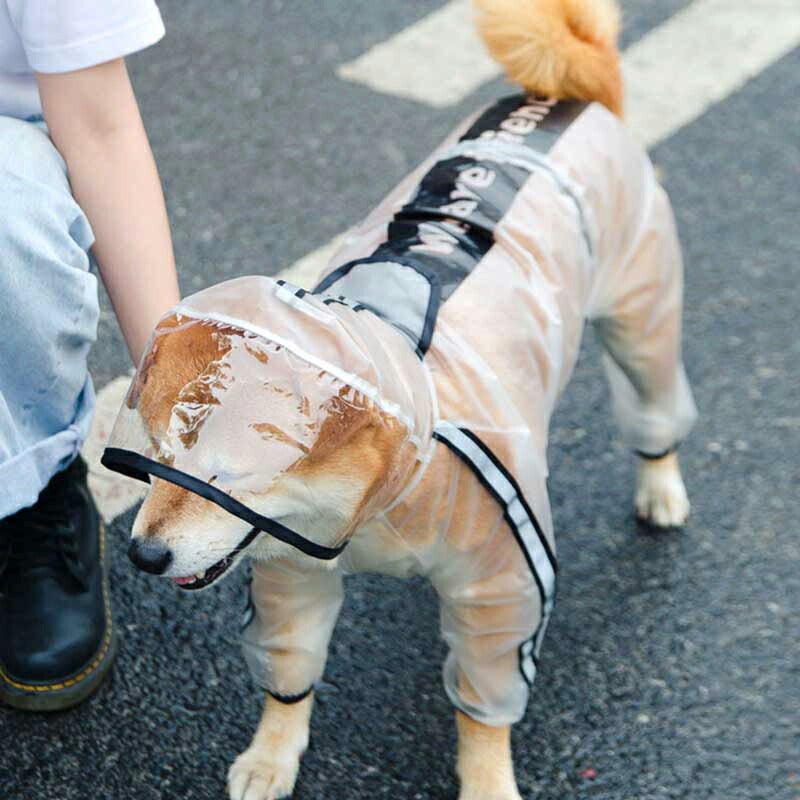 【犬服 犬 服 犬の服】シースルーレインコート【ドッグウェア 合羽 カッパ 雨具 梅雨 お散歩 チワワ ダックス トイプードル タムベディ おしゃれ】色移りがある場合がございます[CN][GI]