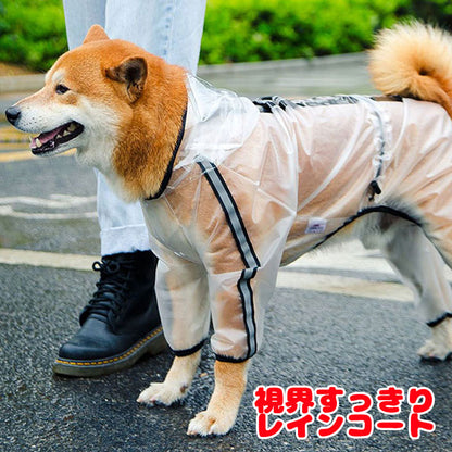 【犬服 犬 服 犬の服】シースルーレインコート【ドッグウェア 合羽 カッパ 雨具 梅雨 お散歩 チワワ ダックス トイプードル タムベディ おしゃれ】色移りがある場合がございます[CN][GI]