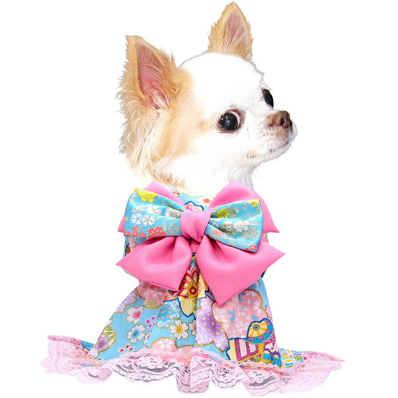 【犬服 犬 服 犬の服 秋服 冬服用】艶やか晴れ着 聖蘭(せいらん)《名入れ可能》《コサージュ別売》 【着物 お正月 初詣 年賀状 七五三 ッグ ペット ウェア ダックス トイプードル チワワ タムベディきれい ポメ】[GI]