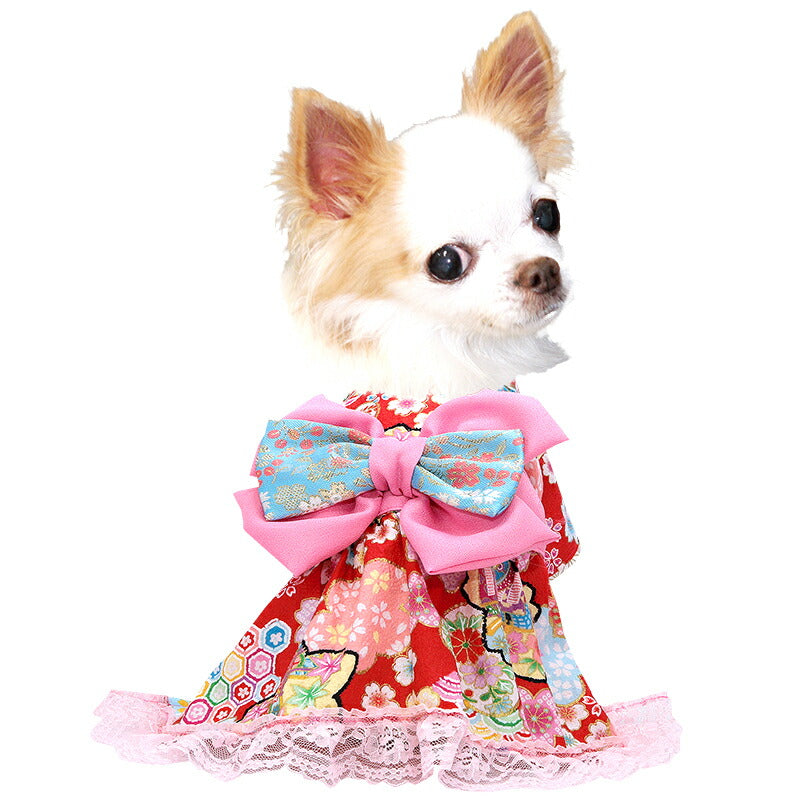 【犬服 犬 服 犬の服 秋服 冬服用】艶やか晴れ着 聖蘭(せいらん)《名入れ可能》《コサージュ別売》 【着物 お正月 初詣 年賀状 七五三 ッグ ペット ウェア ダックス トイプードル チワワ タムベディきれい ポメ】[GI]