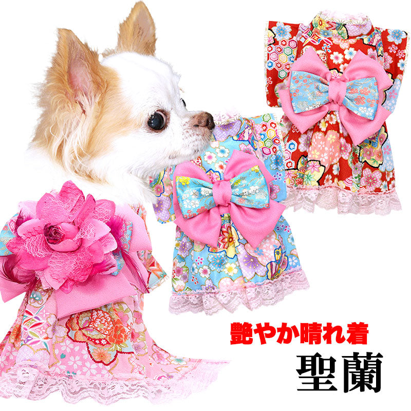 【犬服 犬 服 犬の服 秋服 冬服用】艶やか晴れ着 聖蘭(せいらん)《名入れ可能》《コサージュ別売》 【着物 お正月 初詣 年賀状 七五三 ッグ ペット ウェア ダックス トイプードル チワワ タムベディきれい ポメ】[GI]
