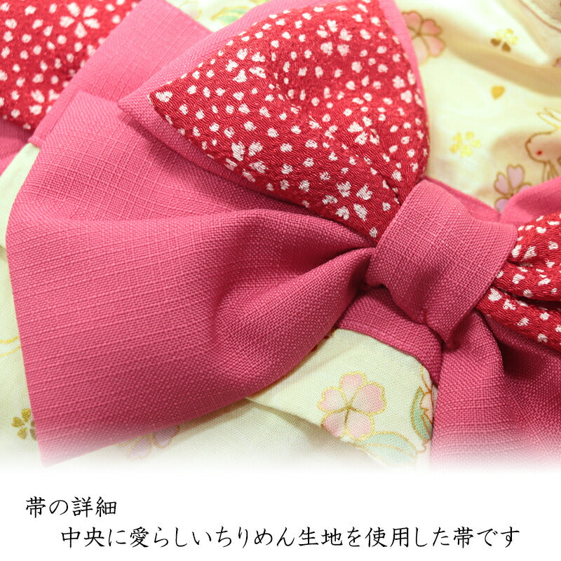【犬服 犬 服 犬の服 秋服 冬服用】艶やか晴れ着 白羽(しらはね)《名入れ可能》《コサージュ別売》【着物 お正月 初詣 年賀状 七五三 ドッグ ペット ウェア ダックス トイプードル チワワ タムベディ シーズー】[GI]