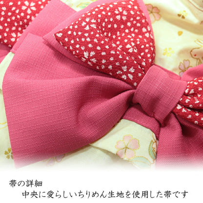 【犬服 犬 服 犬の服 秋服 冬服用】艶やか晴れ着 白羽(しらはね)《名入れ可能》《コサージュ別売》【着物 お正月 初詣 年賀状 七五三 ドッグ ペット ウェア ダックス トイプードル チワワ タムベディ シーズー】[GI]