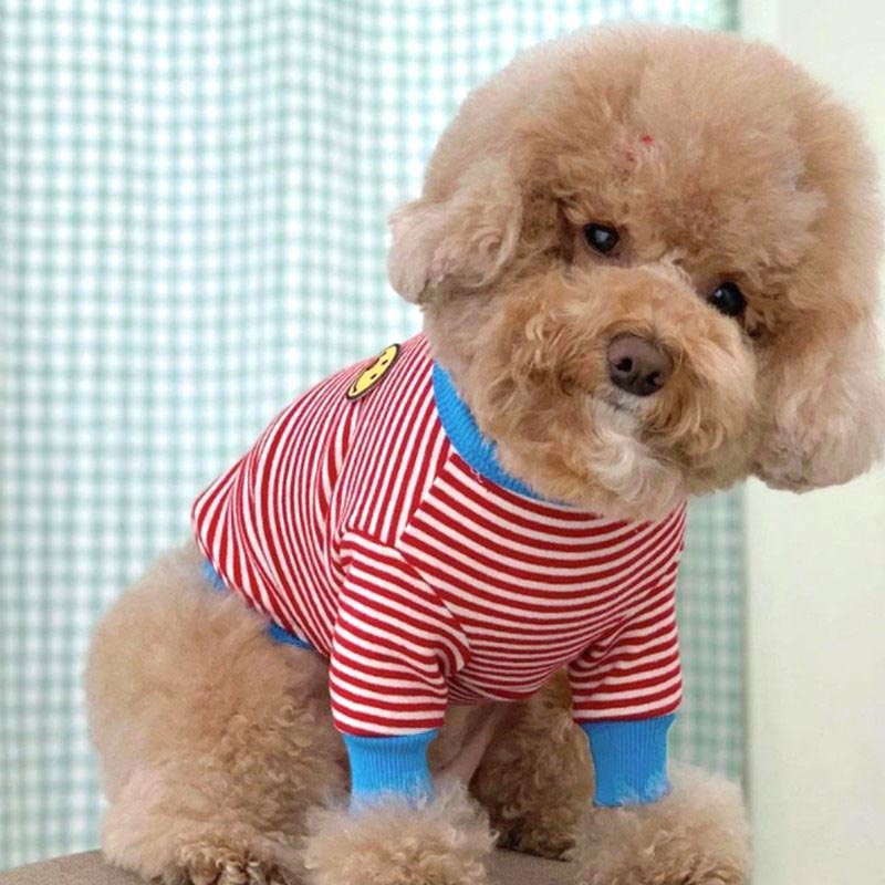 【犬服 犬 服 犬の服 秋服 冬服用】スマイルボーダーシャツ《名入れ可能》【ニコちゃん しましま Ｔシャツ 袖ありドッグ ペット ウェア ダックス トイプードル チワワ タムベディ爽やか】[CN]