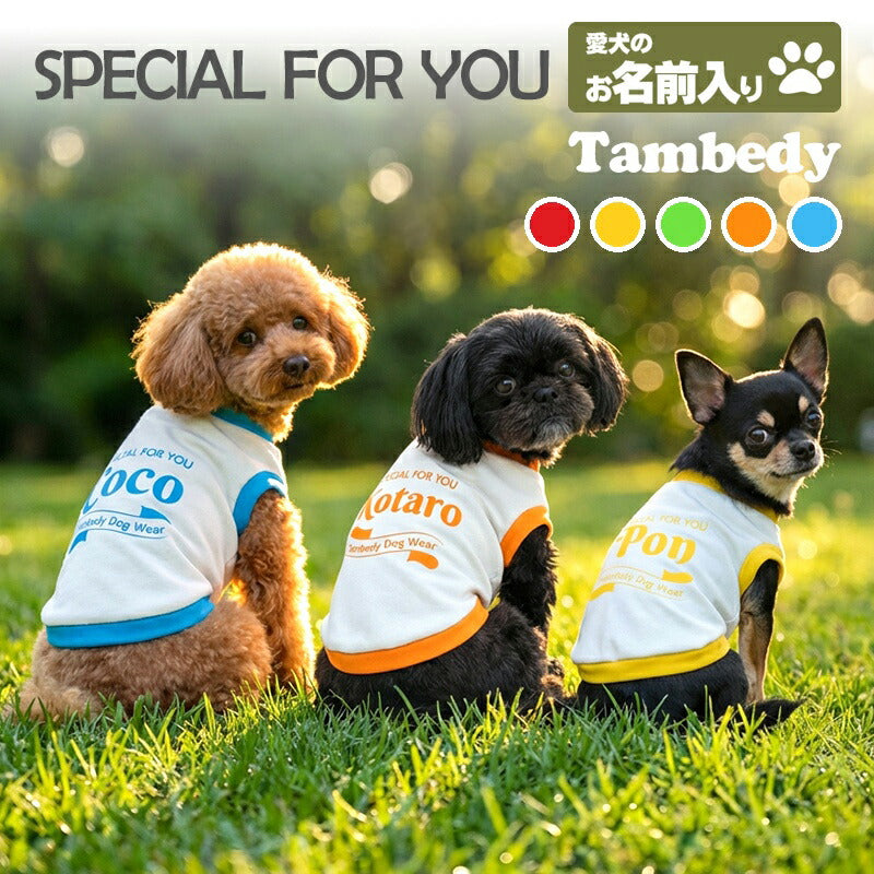 【犬服 犬 服 犬の服 名入れ 春 夏 秋服 冬服用】愛犬のお名前入り スペシャルフォーユー【カラフルスポーティおしゃれドッグ ペット ウェア ダックス トイプードル チワワ タムベディ ポメラニアン】(O/3/RI/H/)