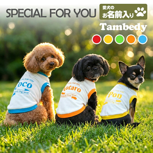 【犬服 犬 服 犬の服 名入れ 春 夏 秋服 冬服用】愛犬のお名前入り スペシャルフォーユー 中型犬用【カラフルスポーティおしゃれドッグ ペット ウェア ダックス トイプードル チワワ タムベディ ポメラニアン】(O/3/RI/H/)
