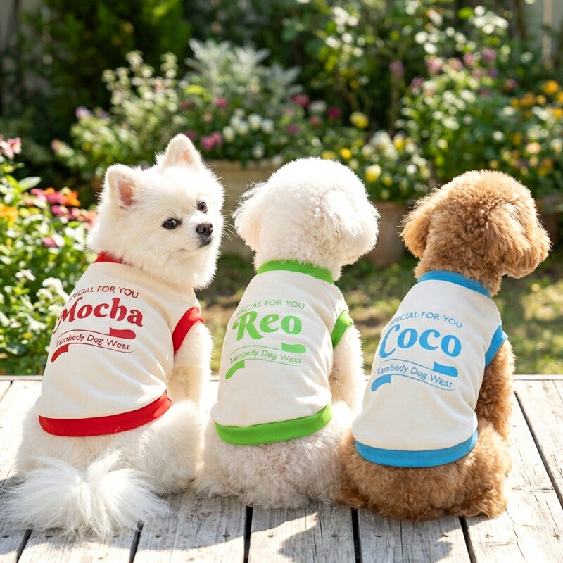 【犬服 犬 服 犬の服 名入れ 春 夏 秋服 冬服用】愛犬のお名前入り スペシャルフォーユー 中型犬用【カラフルスポーティおしゃれドッグ ペット ウェア ダックス トイプードル チワワ タムベディ ポメラニアン】(O/3/RI/H/)