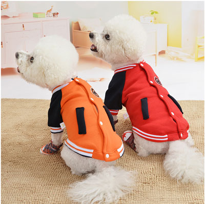 【犬服 犬 服 秋冬 犬の服】スターマーク【アウター ドッグウェア ペット アウトレット スタジャン ダックス トイプードル チワワ 服 タムベディ かっこいい マルチーズ】[CN]