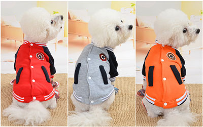 【犬服 犬 服 秋冬 犬の服】スターマーク【アウター ドッグウェア ペット アウトレット スタジャン ダックス トイプードル チワワ 服 タムベディ かっこいい マルチーズ】[CN]