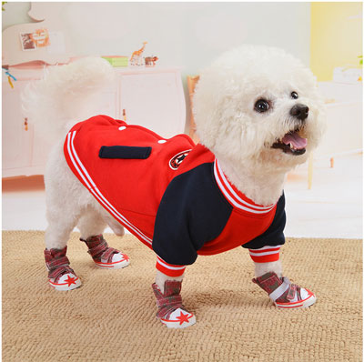 【犬服 犬 服 秋冬 犬の服】スターマーク【アウター ドッグウェア ペット アウトレット スタジャン ダックス トイプードル チワワ 服 タムベディ かっこいい マルチーズ】[CN]
